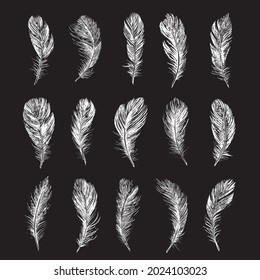 Feathers on white background. Hand drawn sketch style.
