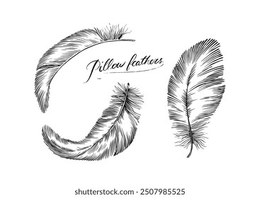 Feathers on white background. Hand drawn black fluffy feathers. Line and Ink sketch. Vintage style. Ethnic boho style hand drawing. ector clipart illustration. 