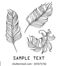 feathers on a white background hand drawn vector illustration