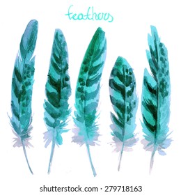 Feathers painted with watercolors on white background. Watercolor color beautiful feathers. Vector