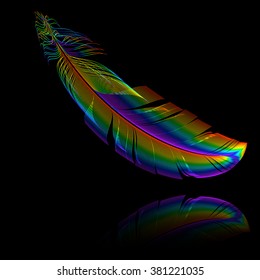 Feathers of paradise bird  - vector illustration 