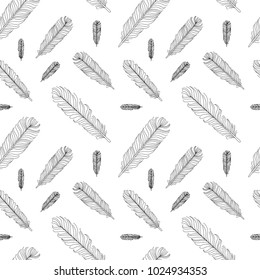 Feathers pattern contour vector illustration isolated