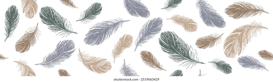 Feathers pattern on white background, Hand drawn sketch style.	