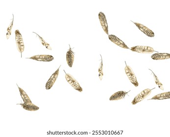 feathers pattern on a white background. This seamless design features a variety of colorful, detailed feathers, perfect for adding a touch of nature and elegance to any project or decor.