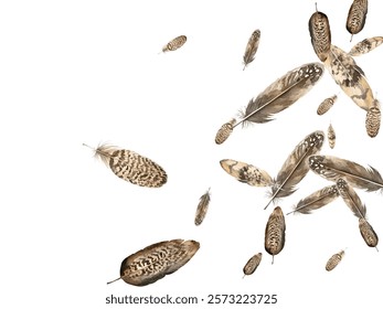 feathers pattern on a white background. This seamless design features a variety of colorful, detailed feathers, perfect for adding a touch of nature and elegance to any project or decor.