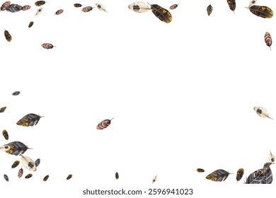 Feathers pattern on a white background. This seamless design features a variety of colorful, detailed feathers, perfect for adding a touch of nature and elegance to any project or decor.