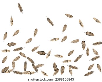 feathers pattern on a white background. This seamless design features a variety of colorful, detailed feathers, perfect for adding a touch of nature and elegance to any project or decor.