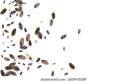 Feathers pattern on a white background. This seamless design features a variety of colorful, detailed feathers, perfect for adding a touch of nature and elegance to any project or decor.