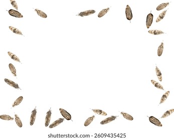 feathers pattern on a white background. This seamless design features a variety of colorful, detailed feathers, perfect for adding a touch of nature and elegance to any project or decor.