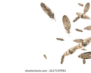 feathers pattern on a white background. This seamless design features a variety of colorful, detailed feathers, perfect for adding a touch of nature and elegance to any project or decor.