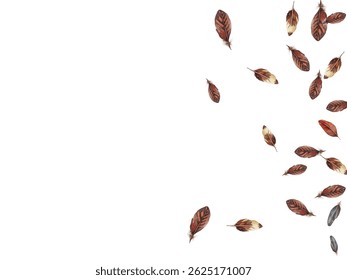 feathers pattern on a white background. This seamless design features a variety of colorful, detailed feathers, perfect for adding a touch of nature and elegance to any project or decor.