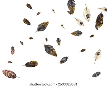Feathers pattern on a white background. This seamless design features a variety of colorful, detailed feathers, perfect for adding a touch of nature and elegance to any project or decor.