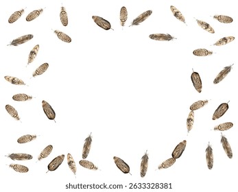 feathers pattern on a white background. This seamless design features a variety of colorful, detailed feathers, perfect for adding a touch of nature and elegance to any project or decor.