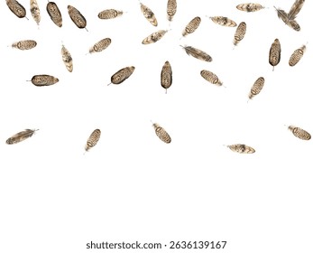 feathers pattern on a white background. This seamless design features a variety of colorful, detailed feathers, perfect for adding a touch of nature and elegance to any project or decor.