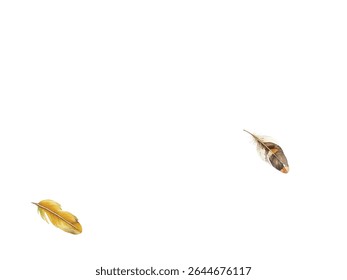 feathers pattern on a white background. This seamless design features a variety of colorful, detailed feathers, perfect for adding a touch of nature and elegance to any project or decor.