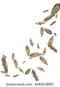 padrão de penas em um fundo branco. Este design perfeito apresenta uma variedade de penas coloridas e detalhadas, perfeito para adicionar um toque de natureza e elegância a qualquer projeto ou decoração.