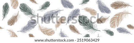 Feathers pattern on white background, Hand drawn sketch style.	