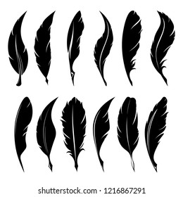 Feathers pen black icon silhouette. Logo goose lightweight feather contour. Vector illustration