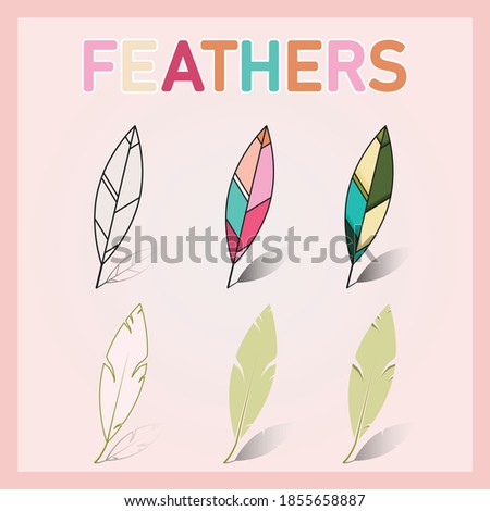 Feathers plume drawing design vector