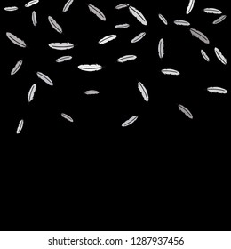 Feathers. Prints of Colored feathers Design for Goods for Pets. Simple Pattern for Print, Logo or Poster. Vector Confetti Background.
