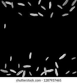 Feathers. Prints of Colored feathers Design for Goods for Pets. Simple Pattern for Print, Logo or Poster. Vector Confetti Background.
