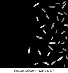 Feathers. Prints of Colored feathers Design for Goods for Pets. Simple Pattern for Print, Logo or Poster. Vector Confetti Background.
