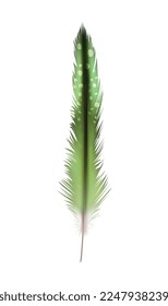 Feathers realistic composition with exotic birds natural dyed spotted mix colored realistic image vector illustration