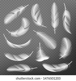 Feathers realistic. Plumage detailing lightness and airiness swan vector collections. Illustration of feather realistic, plumage falling, floating and flight