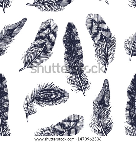 feathers ,seamless pattern, isolated on white background vector, hand drawing