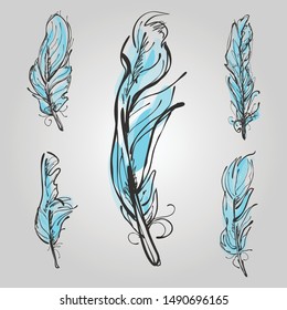Feathers set. Artistic feathers for your design