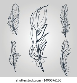 Feathers set. Artistic feathers for your design