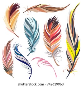 Feathers. Set. Beautiful elements on a white background.