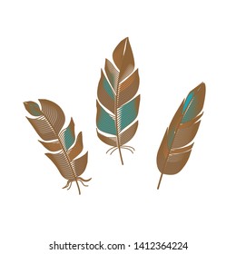 Feathers set of brown, beige, blue, and orange on white background
