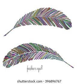 Feathers set of colored linear feathers and zentangle feathers