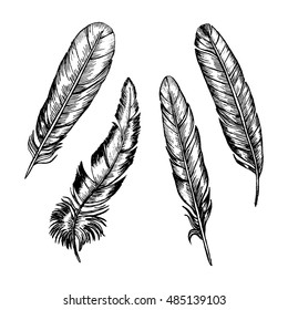 Feathers Set Hand Draw Sketch Boho or Ethnic Style. Decorative Peacock Feather falling icon set. Vector illustration for Design Flyer, Wedding card, T-shirt, invitation.