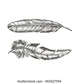 Feathers Set Hand Draw Sketch Trendy Tattoo Template Boho or Ethnic Style. Vector illustration of two black feather.