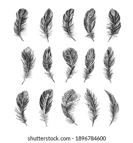 Feathers set, Hand drawn style, vector illustrations.