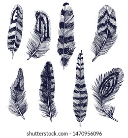 feathers , set, isolated on white background vector, hand drawing