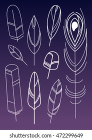feathers set  line illustration bird feather white peacock feather gradient background
