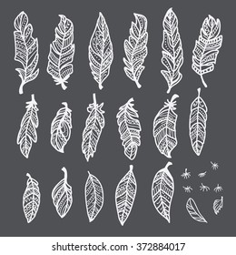 Feathers set.  Linear vector illustrations drawn by hand