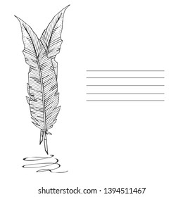 Feathers set on white background. Isolated vector illustration