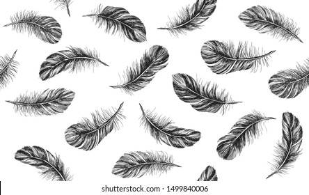 Feathers set on white background. Hand drawn sketch style. 
