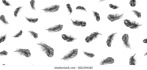 Feathers set on white background. Hand drawn sketch style.	