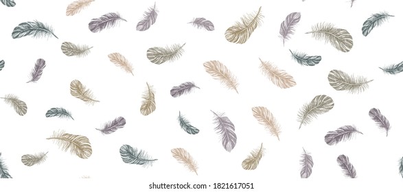 Feathers set on white background. 