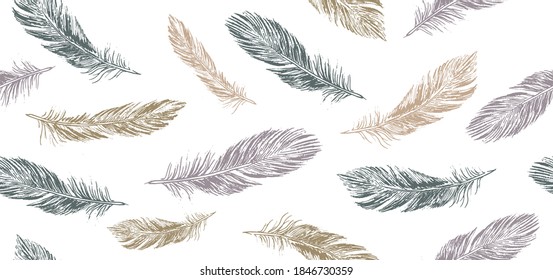 Las plumas se ponen en el fondo blanco. Estilo de esbozo dibujado a mano.	