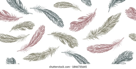 Feathers set on white background. Hand drawn sketch style.	