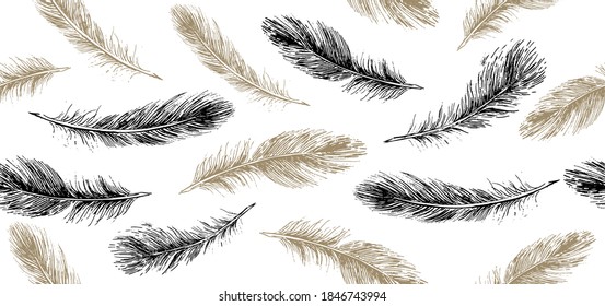 Las plumas se ponen en el fondo blanco. Estilo de esbozo dibujado a mano.	