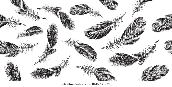 Feathers set on white background. Hand drawn sketch style.	