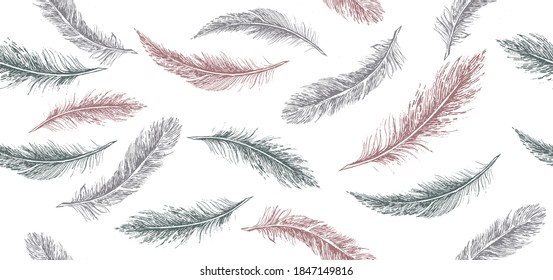 Feathers set on white background. Hand drawn sketch style.	