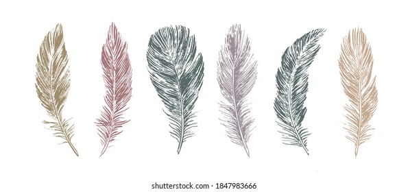 Feathers set on white background. Hand drawn sketch style.